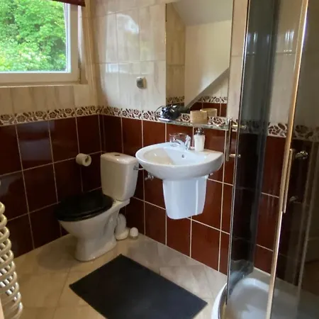 ホームステイ Kokosowa ヴィスワ