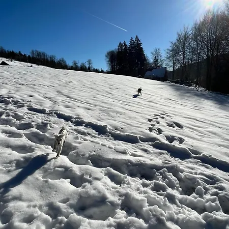 ホームステイ Kokosowa ヴィスワ