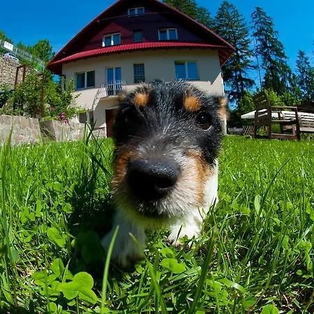 ホームステイ Kokosowa *