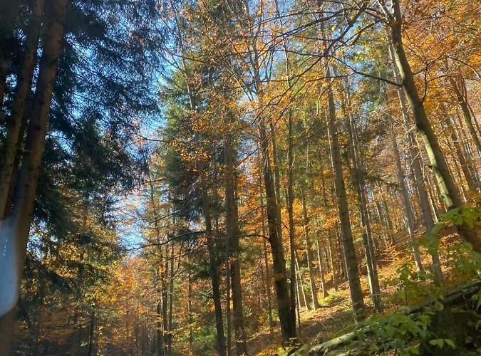 Kokosowa Ubytování v soukromí Visla