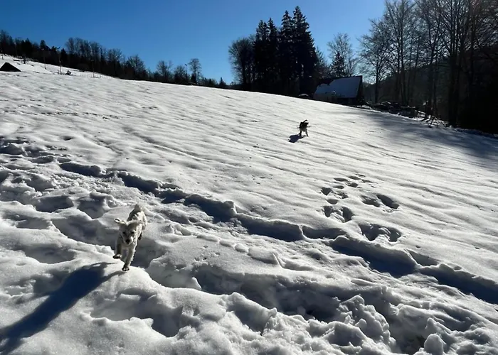 Ubytování v soukromí Kokosowa Visla