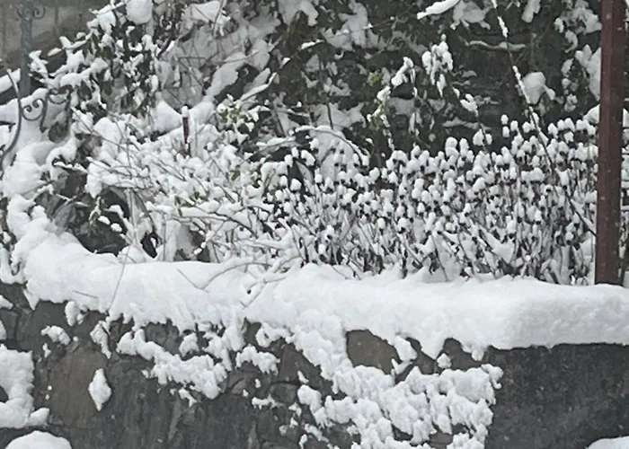 Kokosowa Homestay Wisla